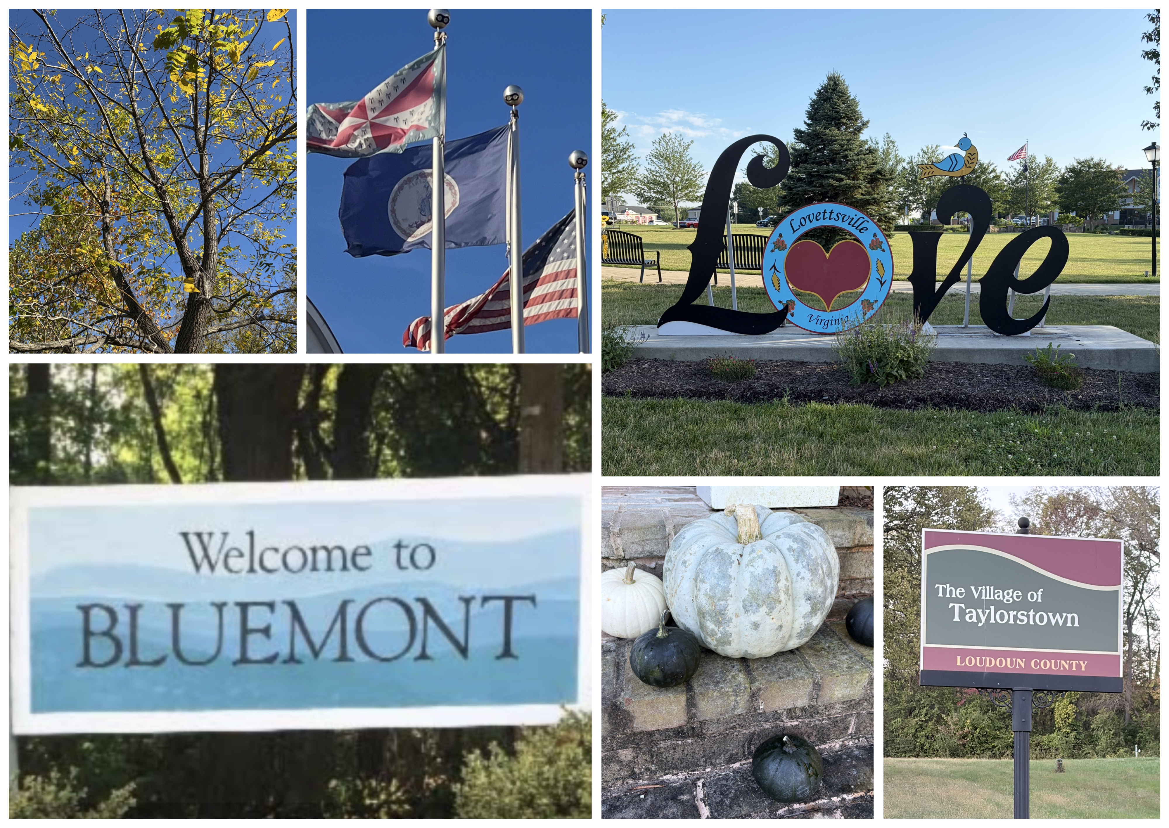 pics around loudoun